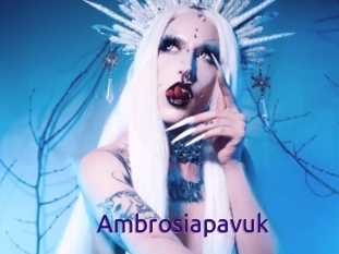 Ambrosiapavuk